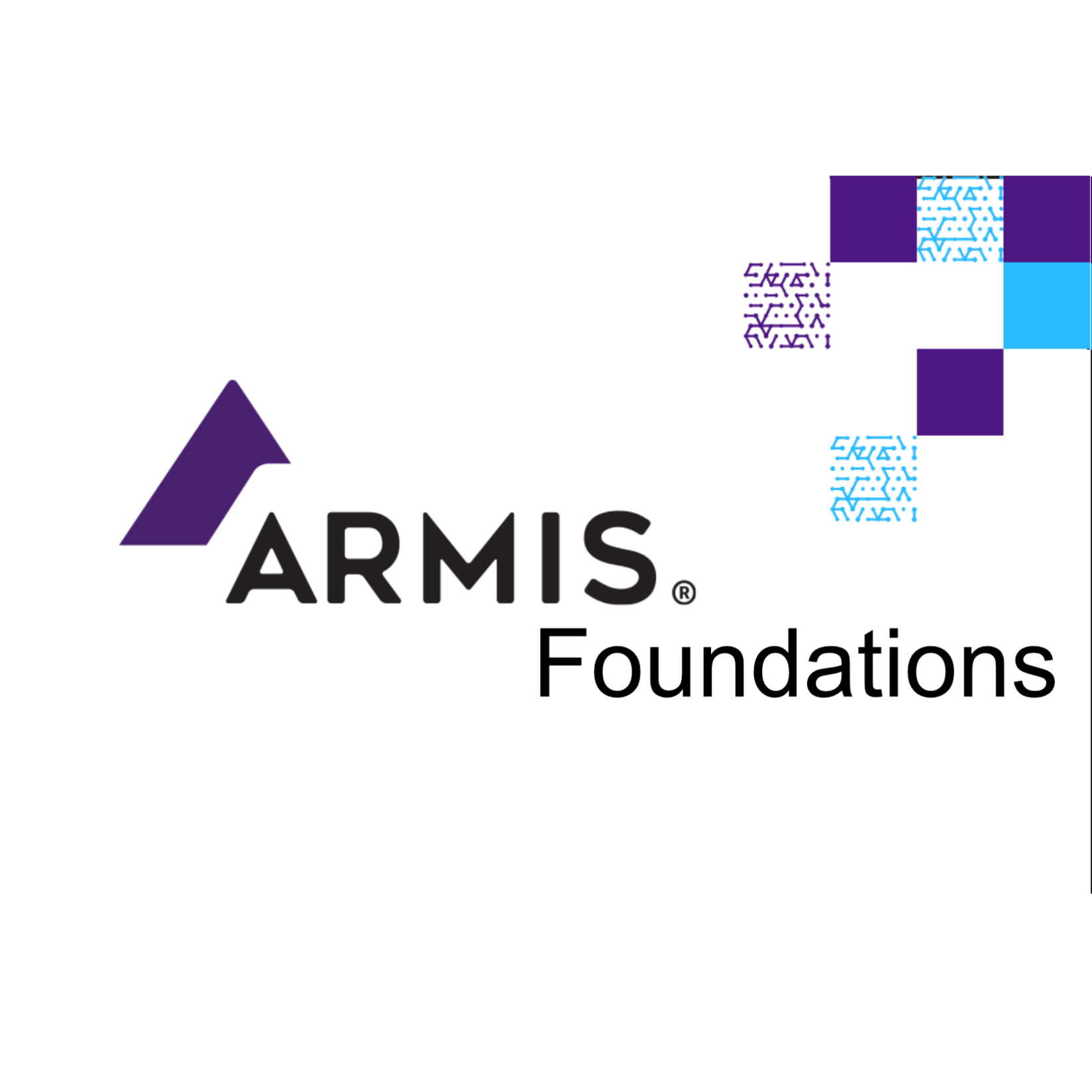 View the Armis Foundations course